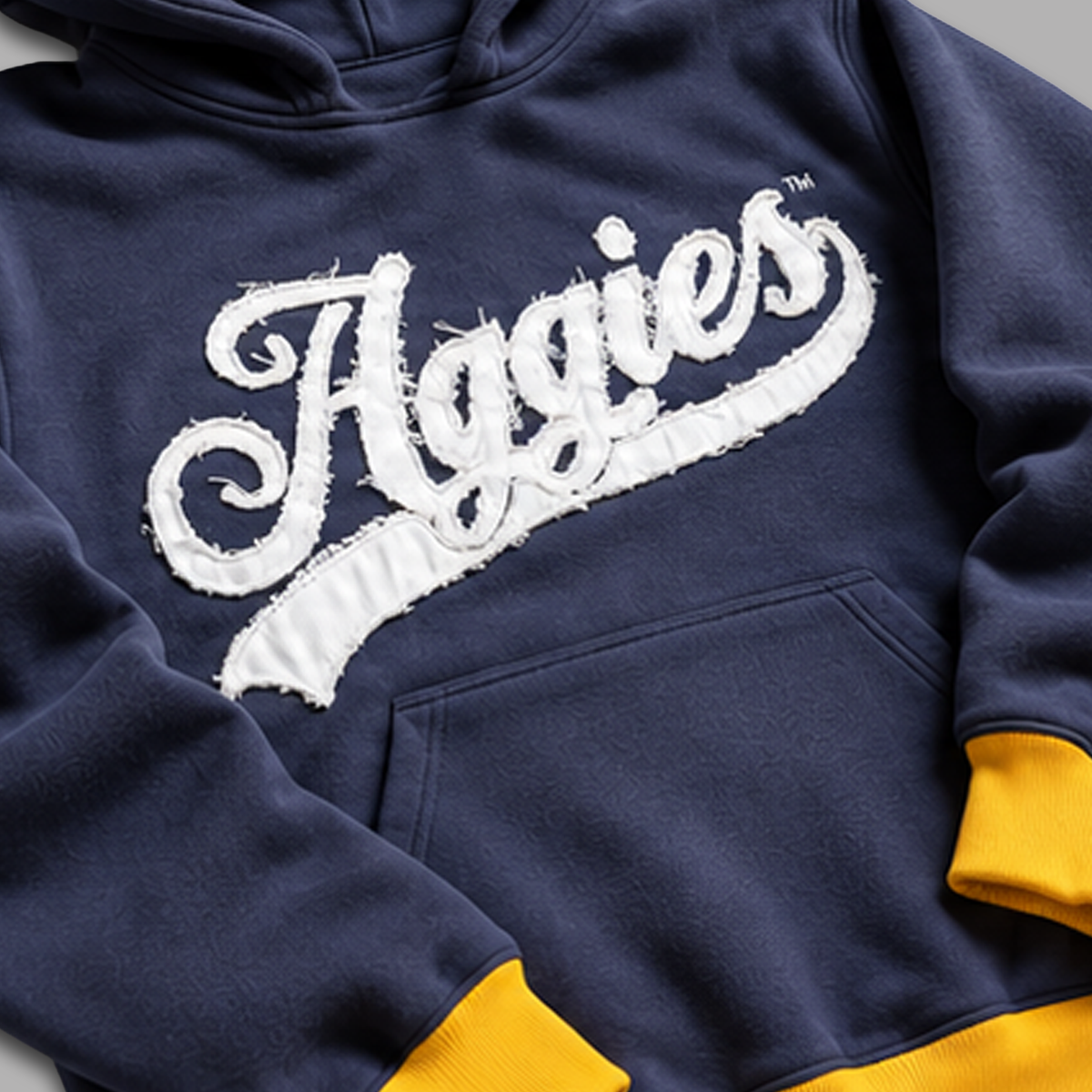 Aggies Heavyweight Distressed Logo Hoodie
