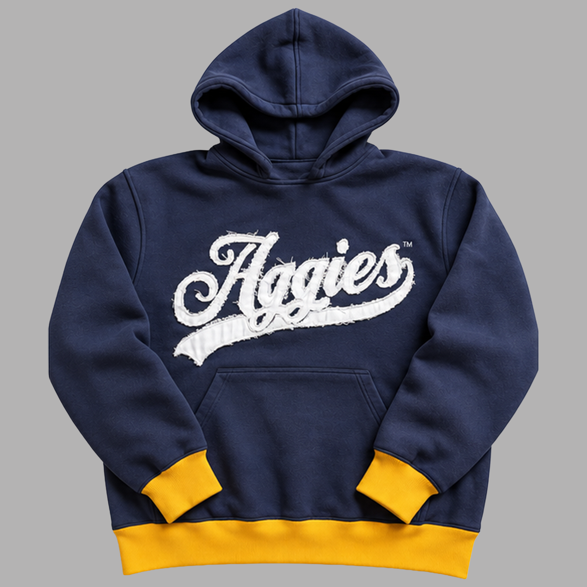 Aggies Heavyweight Distressed Logo Hoodie