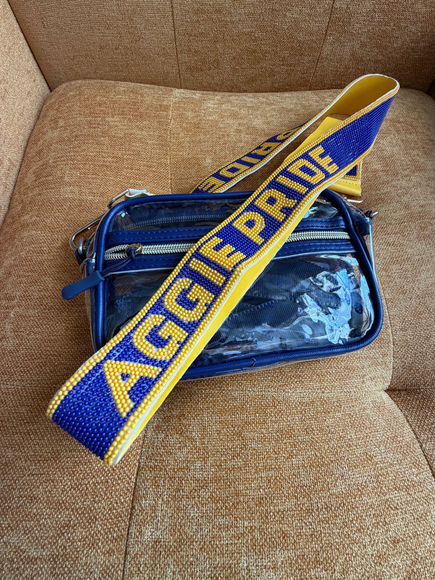 NCAT Beaded purse strap and clear bag